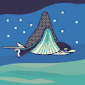 Meet your Posher, Jules